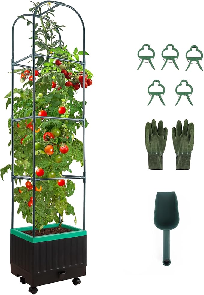 Raised Garden Bed with Self Watering Garden Pots Planter Box with Trellis for Climbing Plants Vegetable Vine Flowers Tomato Cage Planter for Indoor Outdoor Yard Greenhouse Use