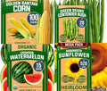 HOME GROWN 𝗨𝗦𝗔 𝗣𝗥𝗘𝗠𝗜𝗨𝗠 𝗢𝗥𝗚𝗔𝗡𝗜𝗖 Watermelon Vegetable Seeds 15 &amp Golden Bantam Corn 100 &amp Contender Bush Bean 28 &amp Sunflower 520