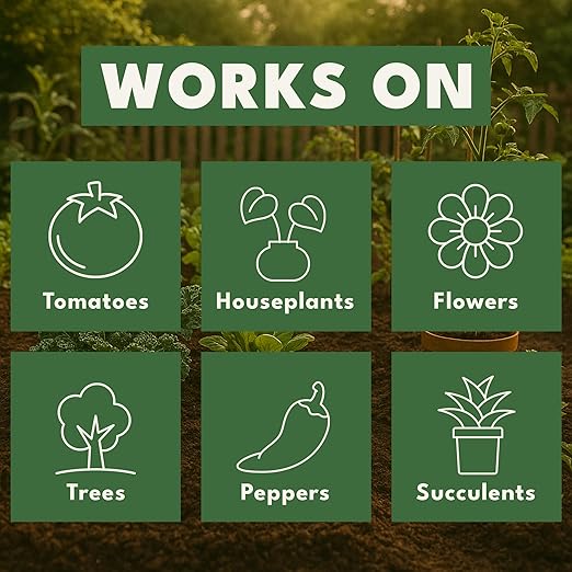 Dirty Green Microbe Blend Mycorrhizal Fungi &amp Beneficial Bacteria Inoculant – 4 oz Powder 1000 Spores/g Organic Root Booster for All Plants (No Fillers)