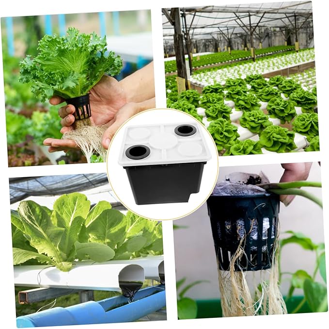BESPORTBLE Garden Planters Hydroponic System Bucket Soilless Plastic Planters Plant Growing Box