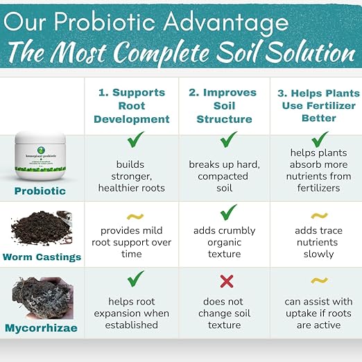 Houseplant Soil Conditioner &amp Probiotic – Organic Growth Booster (1-1-4) for Rejuvenating Tired Plants | Improves Soil Structure &amp Nutrient Availability for Stronger Roots &amp Fuller Leaves