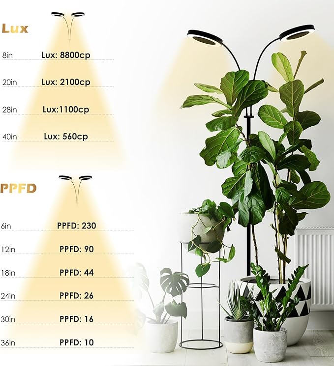 GLOWRIUM Grow Lights for Indoor Plants Full Spectrum LED Grow Light Floor Lamp with Stand Adjustable Height and Angle Black Plant Light with 3/9/12H Grow Light Timer (Black 36W)