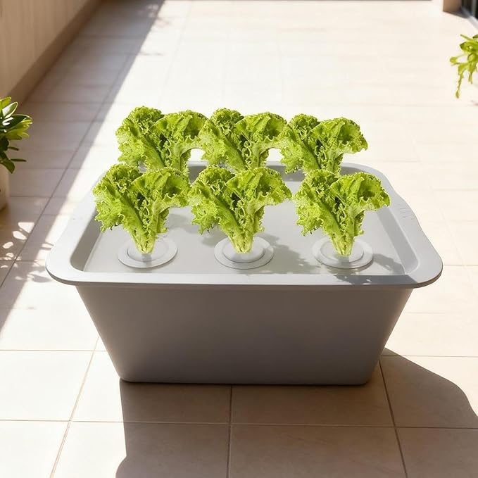 Hydroponic System Growing Box Indoor Gardening System Garden Planter Self Watering Soilless Cultivation for