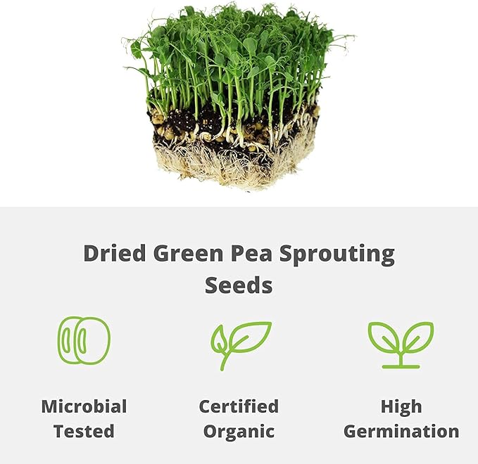 Green Pea Sprouting Seed - 2.5 Lb - Handy Pantry Brand - Green Pea for Sprouts Garden Planting Cooking Soup Emergency Food Storage Vegetable Gardening