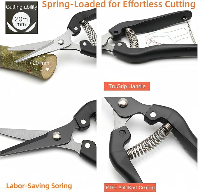 5-Piece Gardening Tool Set with 3 Pruning Shears &amp 2 Folding Saws Professional Stainless Steel Blades for Tree Trimming Branch Cutting Bonsai Care Camping (Gift Ready)