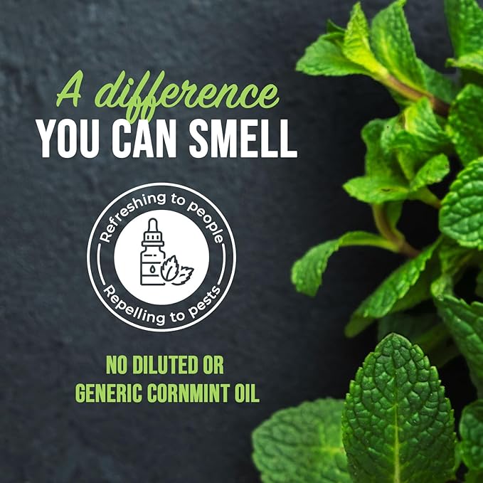 Mighty Mint Peppermint Oil Mouse Repellent Spray – Natural Indoor &amp Outdoor Control for Mice and Rodents – Plant-Based Extra-Strong Formula - 16 oz