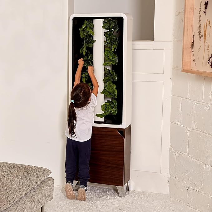 Just Vertical EVE Tower Garden | Hydroponic Growing System | Grow 12 Fresh Herbs &amp Vegetables Year-Round | Self-Watering Energy-Efficient LED Compact Design Fully Assembled | Walnut