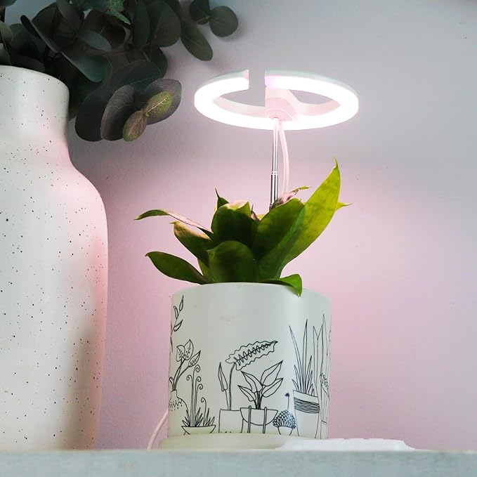 Halo 360 LED Plant Light for Indoor Plants Succulents Orchids Dimmable Adjustable Stand &amp Stake w/USB Adapter &amp Timer 2 Pack