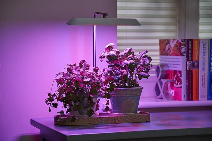 Auraglow LED Plant Grow Light with Hydroponic Full Spectrum Grow Mode &amp Display Lamp for Herbs Fruit Veg &amp Indoor Plants