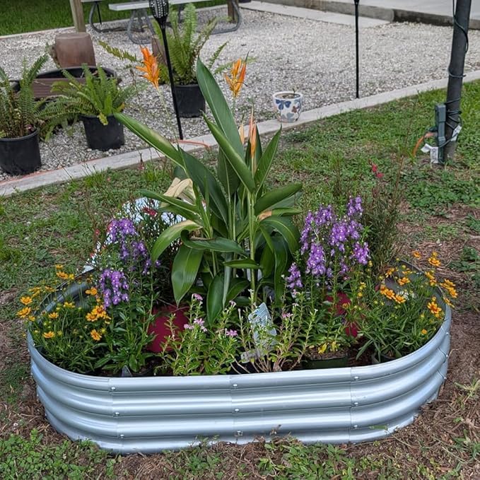 4x2x1ft Galvanized Raised Garden Bed Outdoor 12 Tall Metal Raised Beds for Gardening Planter Boxes for Plants Vegetables Flowers Herbs &amp Tomato Bottomless Elevated Garden Beds Kit Silver