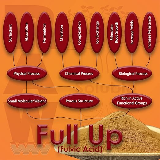 RAW Full UP 8oz - Premium Fulvic Acid Supplement for Enhanced Nutrient Absorption and Plant Vitality