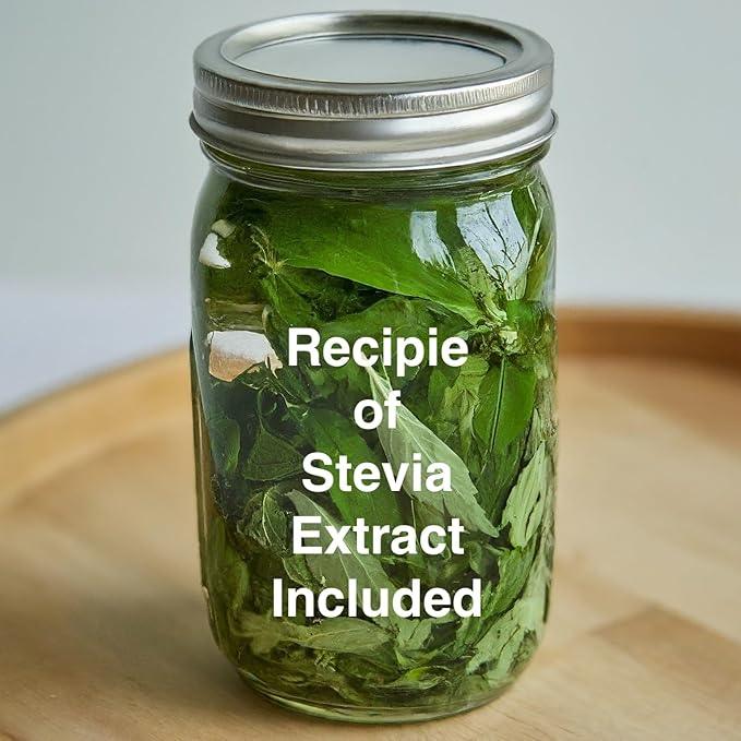 Natural Herbal Live Zero Calorie Sugar Replacement. Stevia Plants. Sweet Leaf Sugar Leaf Natural Sugar Substitute Herb Easy to Grow (4 stevia sacs)