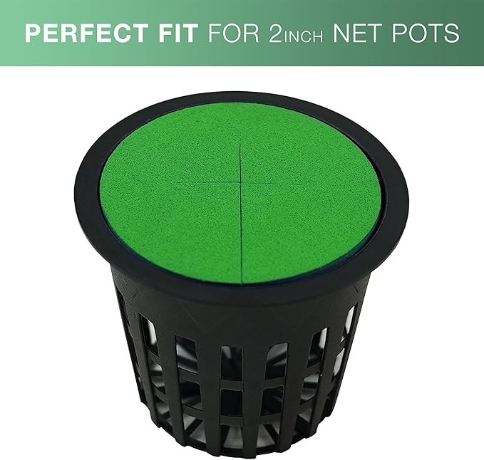 2” Neoprene Foam Inserts for Hydroponics Growing System Clone Machine Propagation Indoor Gardening 100 Pack Green