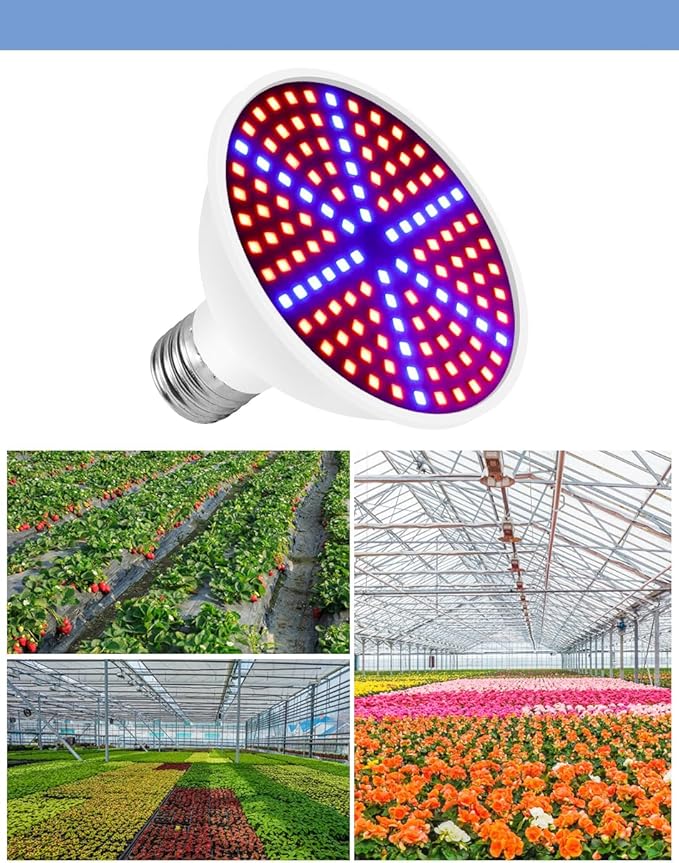 4Pcs 30W Full Spectrum Plant Light AC85-265V Red Blue E26/E27 Greenhouse Tent Hydroponic Box Planting Fill Lamps UV/IR Vegetables Fruits Flower Moss Succulent Cactus Potting Cultivation Lighting