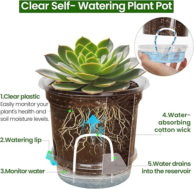 18 Pack 6.5/5/4 Inch Clear Self Watering Plant Pots with Bottom Water Tray &amp Watering Rope Transparent Nursery Pots with Drainage for Seedlings Herbs and Houseplants