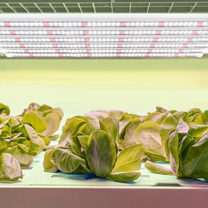 GYTF Plant Grow Light Strips 204 LED-Bulbs 5000K White Full Spectrum Grow Light Strips for Indoor Plants Succulents Seeds Starting Greenhouse End-to-End Connection (4x10W 200W Equivalent)