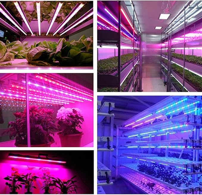 LED Plants Grow Lights DC 12 V 5730 SMD LED Bar Lights Compatible with Aquarium Greenhouse Lamp 10pcs 50CM(Color:Clearly CoverSize:3Red 1 Blue)