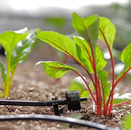 AEO Solar-Powered Automatic Watering Drip Irrigation System 50 Drippers 155 ft for Balcony Greenhouse Raised Garden Bed