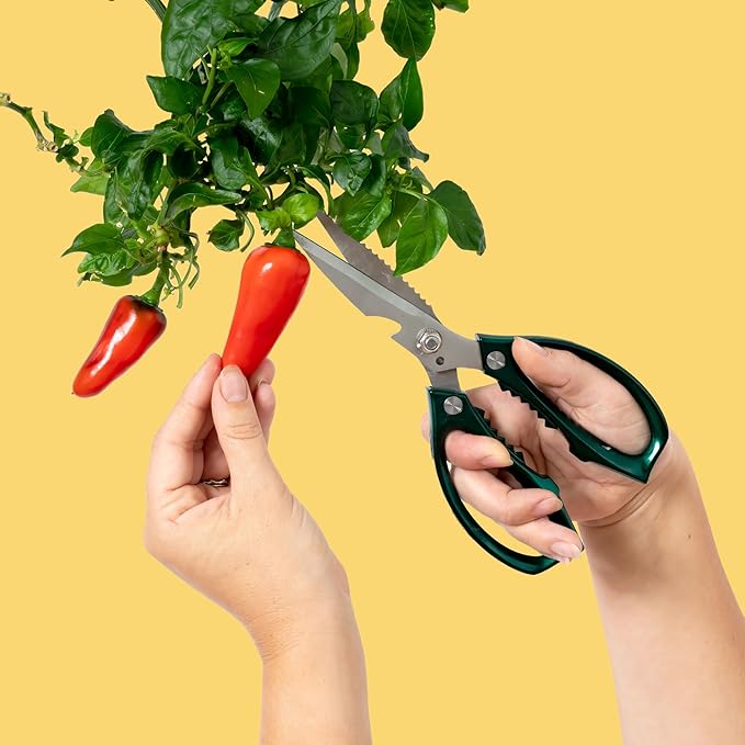 Gardyn Harvest Kit – Hydroponic &amp Indoor Gardening Plant Care Tools for Growing Trimming and Harvesting – Scissors Herb Cutter Tweezers Cleaning Brush Measuring Spoon &amp Accessories