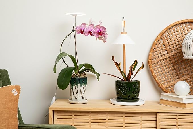 rePotme Grow Light for Orchids Lumina Orchid Full Spectrum Plant Light with Adjustable Height and Automatic Timer (White)