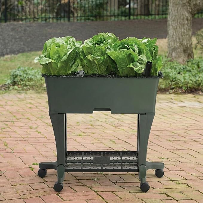 EarthBox Raised Garden Bed with Legs – Elevated Self Watering Planter Box with Wheels Storage Shelf Premium Plant Food Easy Assembly Made in USA Dark Green