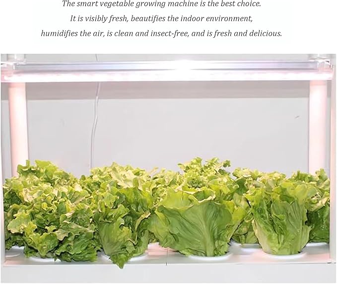 Hydroponics Growing Systems Kit Indoor Garden Hydroponic Growing Systems(Double Layer)