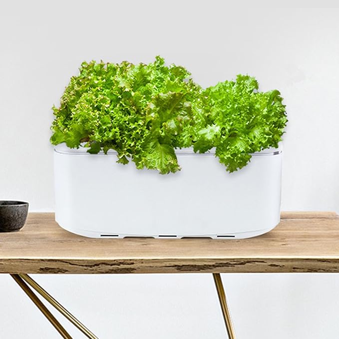 Self Watering Planter Hydroponics Growing System Smart Indoor Garden Planter Automated Soilless ABS Construction for Home Flower Vegetable Balcony Windowsill