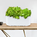 Hydroponic Growing System Kit Self Watering Planter Automatic System with Pump System and Automatic Timer Smart Indoor Garden Planter for Home