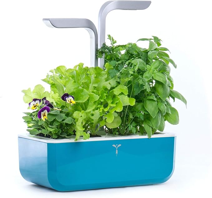 Veritable VPOT-STBAS-US-17 Smart Indoor Garden Teal Blue