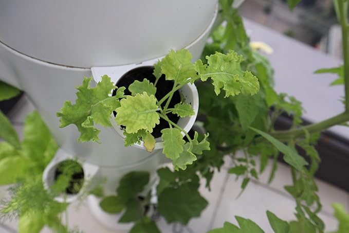 The Stack &amp Sprout Vertical Gardening System - Vertical Urban Gardening for Condo Patios and Balconies