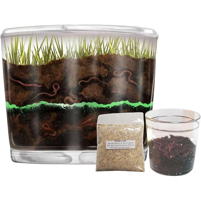 Worm Farm for Kids Shipped with Live Worms and Food - Observation Worm Farm Kit with Ecosystem Soil Mixing Sand Magnifying Glass &amp More