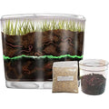 Worm Farm for Kids Shipped with Live Worms and Food - Observation Worm Farm Kit with Ecosystem Soil Mixing Sand Magnifying Glass &amp More