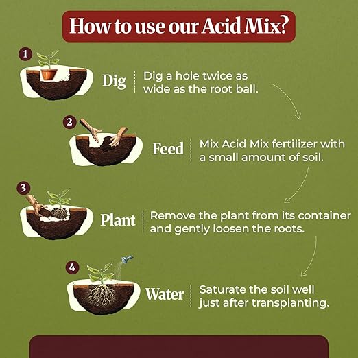 Down To Earth Citrus Mix 6-3-3 &amp Acid Mix 4-3-6 Fertilizer Bundle | Organic Plant Food for Citrus Blueberries &amp Acid-Loving Plant | Nutrient-Rich Soil Amendment for Garden &amp Potted Plants