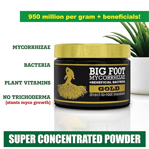 Big Foot Mycorrhizae Starter Bundles - for Established Plants Transplanting Rooting Powder - Big Foot Gold 4 oz + Root Boost 2 oz