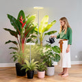 2 Packs Plant Grow LightGrow Lights for Indoor Plants80 LEDs Full Spectrum Plant Lights for Indoor Growing with 6/12/16H Timer-W2