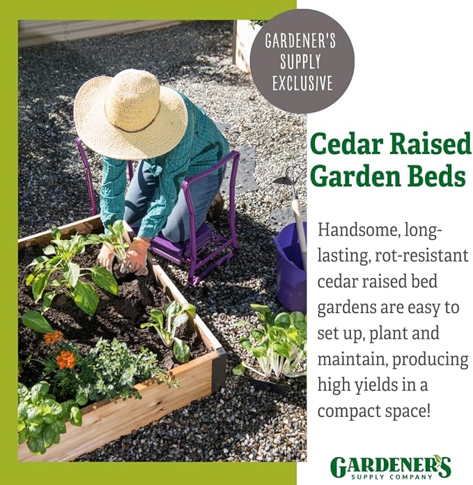 Gardener's Supply Company Cedar Raised Garden Bed | Weather Resistant Outdoor Planter Box for Plants Herbs Flowers &amp Vegetables with Rust-Proof Aluminum Corners | 4ft W x 6ft