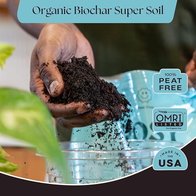Rosy Soil Indoor Potting Soil for House Plants 2 x 8 qrt - Organic Potting Soil Mix for Indoor Plants -Enriched w/Root-Boosting Biochar for Foliage Plants Flowers Herbs - Pack of 2