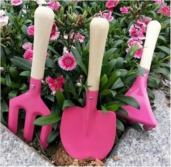 Mini Garden Tool Set 3 Piece Heavy Duty Succulent Kit for Plant Care SetIdeal Gardening Tool Kit Gifts for Parents and Kids Including Trowels Hand rake Gardening Hand Tools