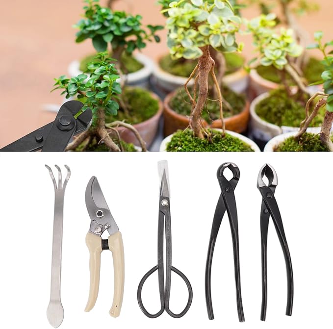 5Pcs Bonsai Tools Set Portable Garden Tools Set with Organizer Bag Mini Garden Succulent Tools Set for Seedlings Bonsai Succulents Herbs Terrariums and Planting