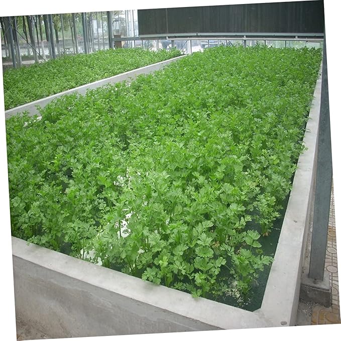 40mm Soil-Free Sponge Planting Tray for Hydroponics Floating Gardening Tray with Cylinder Cups and Plastic Net Baskets for Greenhouse Vegetable Cultivation