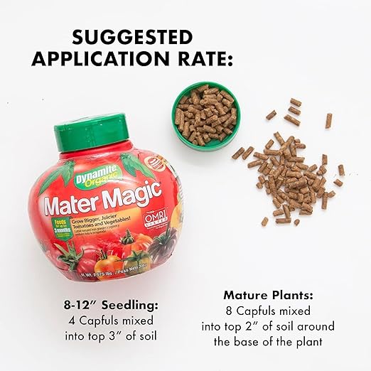 Dynamite Natural and Organic Mater Magic Plant Food 0.675-Pound (4 Qty)