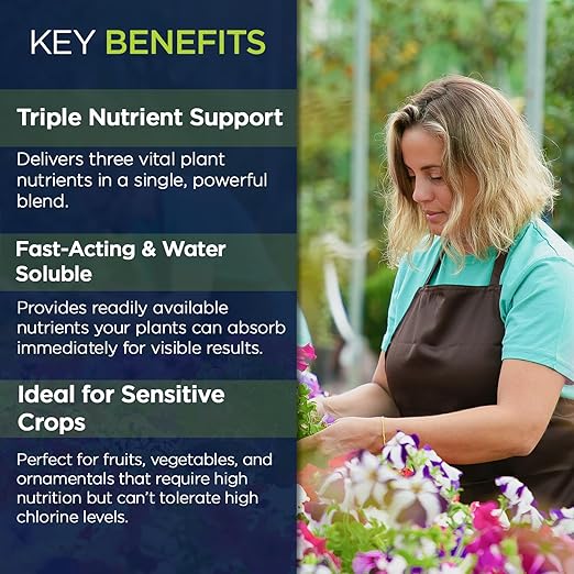 Supply Solutions | 0-0-22 Pro-Mag Trio - High Potassium Magnesium &amp Sulfur Fertilizer for Lawns Turf Palm &amp Fruit Trees - Water-Soluble Plant Food for Stronger Growth &amp Higher Yields (1