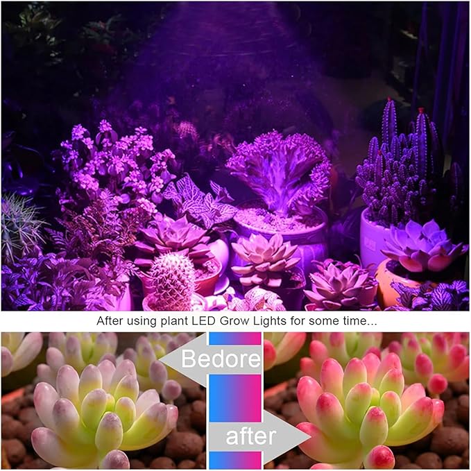 10pcs COB LED Ceramics Chip No Need Driver AC220V 3W 5W 7W 9W Lamp Bead for DIY Plant Grow Light LED Bulb Floodlight Spotlight(3W 10pcs)