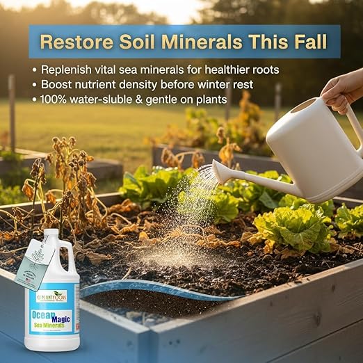 Ocean Magic Sea Mineral Fertilizer by GS Plant Foods(1 Gallon) - Soil Mineral Health Improvement Liquid Concentrate - Sea Minerals for Lawn and Turf Gardens &amp House Plants