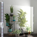Super-Bright 48 T10 Plant Lamp 6000k Full Spectrum Standing Grow Light 3 Modes &amp 5 Dimming Levels Timer 4/8/12H12V/3A High Power Output for Large &amp Tall Indoor Plants