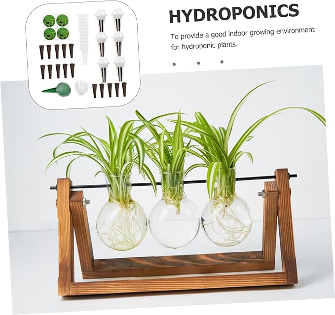 1 Set Hydroponic Plant Baskets with Lids Durable Grow Domes for Indoor Gardening Hydroponics Kit for Vegetables and Flowers Optimal Growth Sponge Included