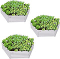 A ANLEOLIFE 3 Set Hexagon Galvanized Raised Garden Beds Outdoor70x60x18in Metal Planter Box for Planting Vegetables Flowers Herb Anti-Rust &amp Easy-Setup Antique White