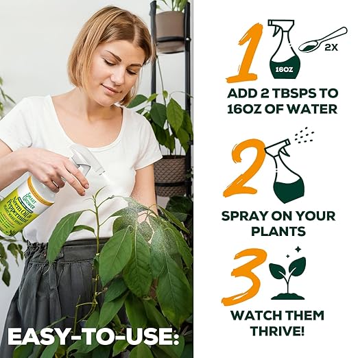 Neem Oil Spray for Plants with Peppermint Oil – for Indoor &amp Outdoor Plants Gardens &amp Houseplants– Best Value Refill 8 oz Concentrate Makes 1 Gallon RTU