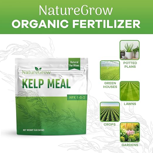 Kelp Meal 1-0-2 Natural Plant Food Boost Plant Health and Yield! (24lb)