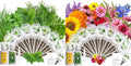 LYKOCLEAN 8 Pods Gourmet Herb Seed Pod Kit and 8 Pods Vibrant Flower Seed Pod Kit Compatible with Aerogarden Ahopegarden Letpot Hydroponics Growing System
